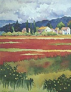 MGpoppy_field_with_houses.jpg