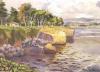mg_lowtideatsteamerslane200.JPG