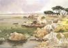 mg-pacificgrove200.JPG