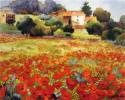 Hillside_Provence.jpg