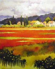 Poppy_Fields.jpg
