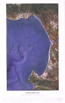 montereybay.jpg