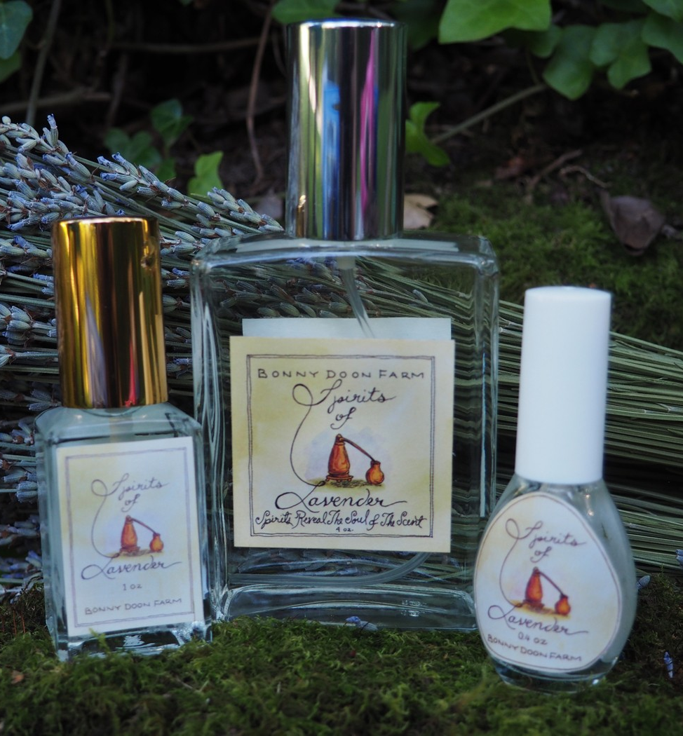 Spirt-of-Lavender_all-