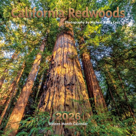 2026, Calendar, 2026 Calendar, Santa Cruz, Michael Santa Cruz, Calender