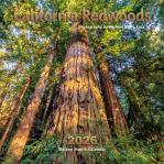 2026, Calendar, 2026 Calendar, Santa Cruz, Michael Santa Cruz, Calender