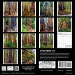 2026, Calendar, 2026 Calendar, Santa Cruz, Michael Santa Cruz, Calender
