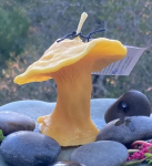 Candle Mushroom Mini (beeswax) 1