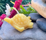 Candle Turtle Sm (beeswax)