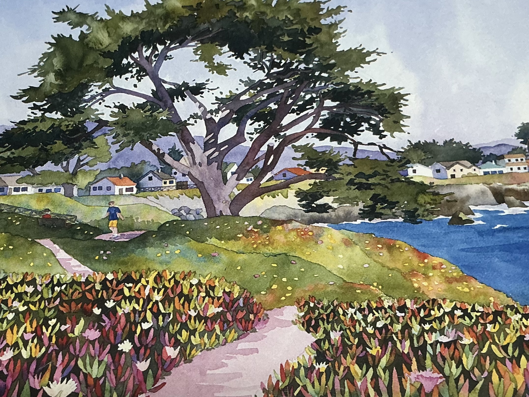  Note Card West Cliff Trees By: Marie Gabrielle 
