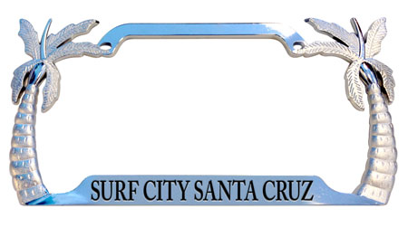 Palm-Surf-City-SantaCruz.jpg