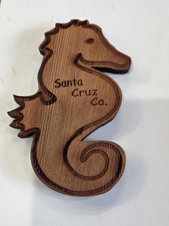 Magnet Redwood Seahorse