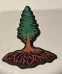 santa cruz redwood tree magnet tim ward