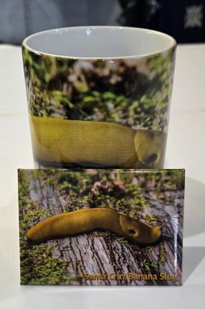 Mug Santa Cruz Woody Woodies Jim Phillips