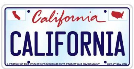 Decal License Plate California White By: Tim Ward