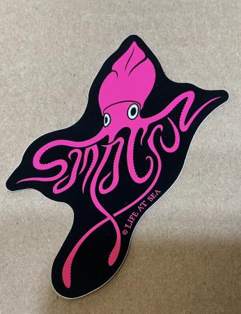 Decal Squid mini By: Tim Ward