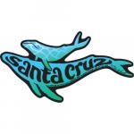 santa cruz whale patch tim ward