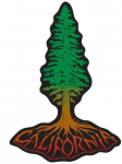 Decal Tree Redwood Roots Santa Cruz Sticker - by Tim Ward 1