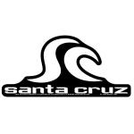 Santa Cruz Sticker Tim Ward Black Wave Icon