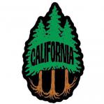 tim ward sticker decal redwood tree california