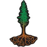 Santa Cruz Sticker Tim Ward Redwood Tree