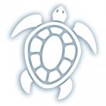 tim ward sticker decal vinyl turtle