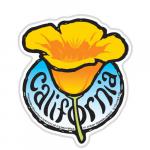 santa cruz poppy flower magnet tim ward