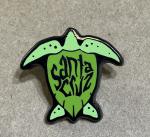 Pin, hat, Santa Cruz, Tim Ward 