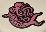 santa cruz mermaid magnet tim ward