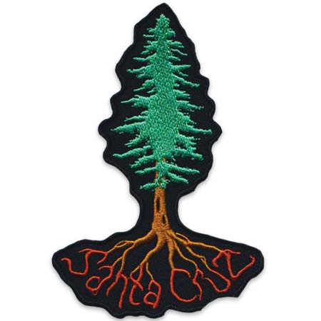 santa cruz redwood tree patch tim ward