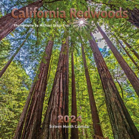 2024, calendar, 2024 calendar, california, california redwoods, california redwoods calendar, calendar, calendars, michael santa cruz, michael santa cruz calendar