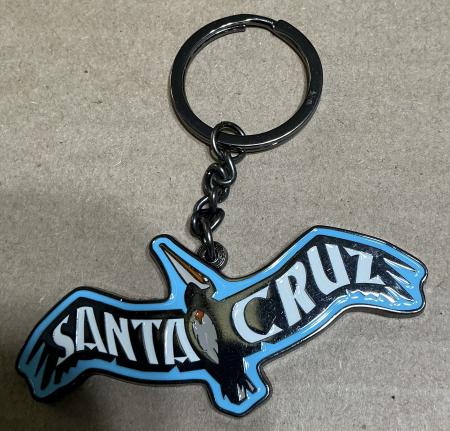 santa cruz Pelican keychain tim ward