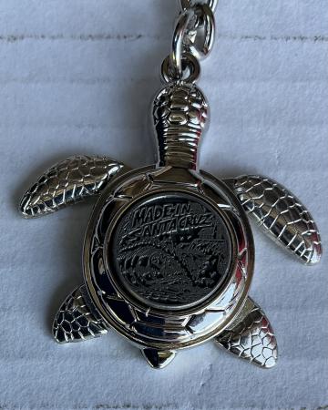santa cruz sea turtle keychain tim ward