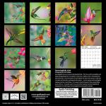 2025, calendar, 2025 calendar, hummingbirds, michael santa cruz, Santa Cruz