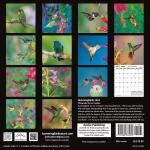 2024, calendar, 2024 calendar, hummingbirds, michael santa cruz, Santa Cruz