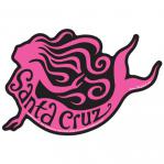 Santa Cruz Mermaid Sticker Tim Ward