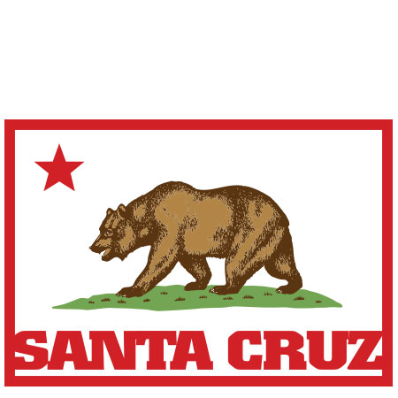 Decal Flag Bear Santa Cruz Sticker by Tim Ward