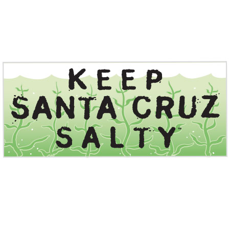 keep santa cruz salty sticker tim ward