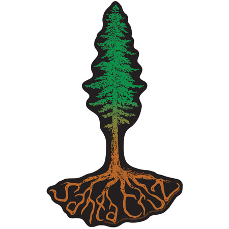 Decal Tree Redwood Roots Santa Cruz Sticker - by Tim Ward